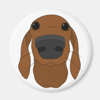 Cute Hund Nose magnet