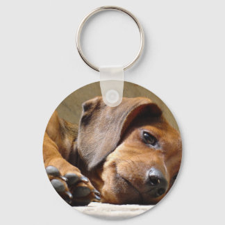 Cute hund nyckelring