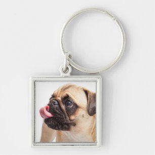 Cute Hund nyckelring 1