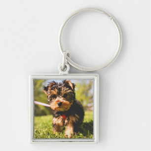 Cute Hund nyckelring 5