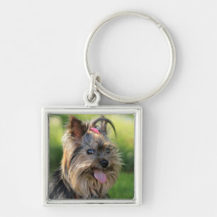 Cute Hund nyckelring 7