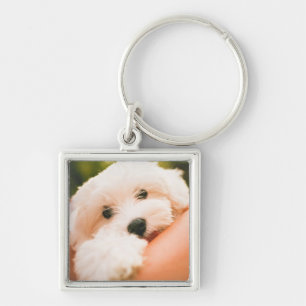 Cute Hund nyckelring 9