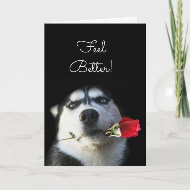Cute Hund och Flower Känn dig bättre och få bra ko Kort (Framsida)