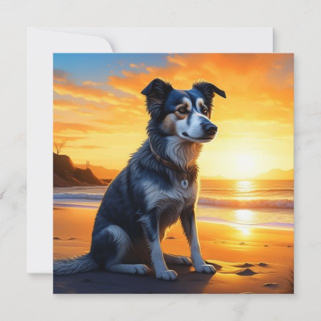 Cute Hund on Beach at Sunset (Framsida)