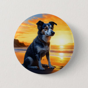 Cute Hund on Beach at Sunset Knapp