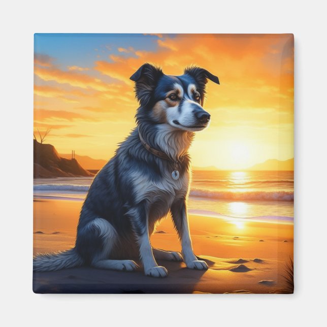Cute Hund on Beach at Sunset Magnet (Framsidan)