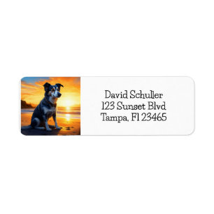 Cute Hund on Beach at Sunset Returadress Etikett