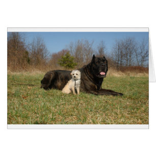 Cute Hund par Hälsningskort