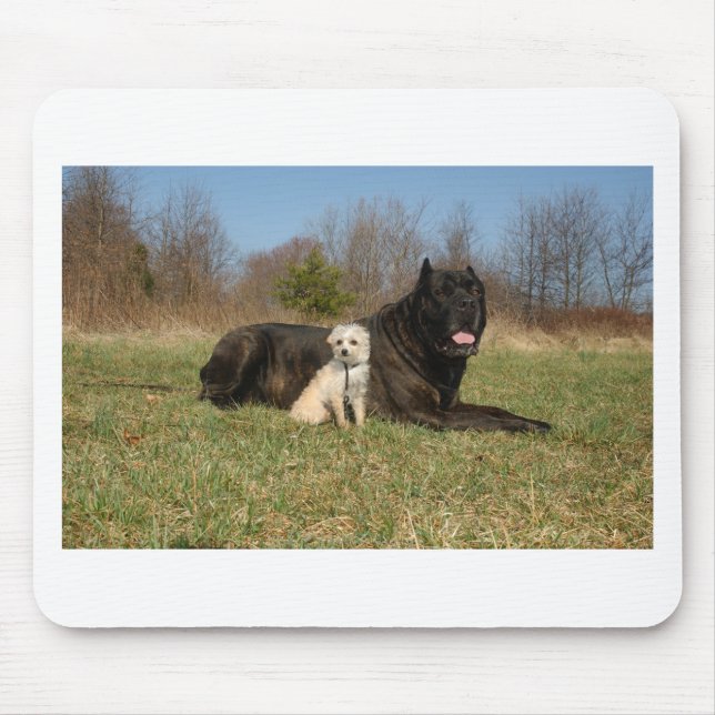 Cute Hund par Musmatta (Framsidan)