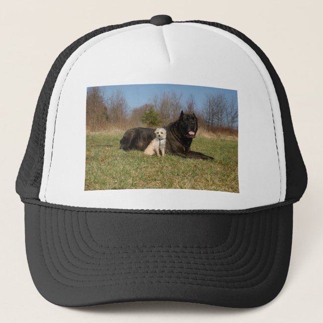 Cute Hund par Truckerkeps (Framsida)