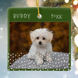 Cute Hund Pet 2 Foton Star Mönster Grönt jul Julgransprydnad Keramik