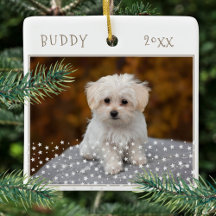 Cute Hund Pet 2 Foton Star Mönster jul