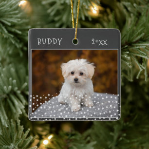 Cute Hund Pet 2 Foton Star Mönster jul Julgransprydnad Keramik