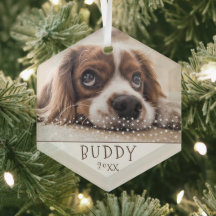 Cute Hund Pet Photo White Stars jul