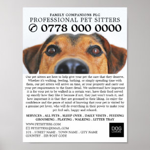 Cute Hund, Pet Sitta Service Advertising Poster