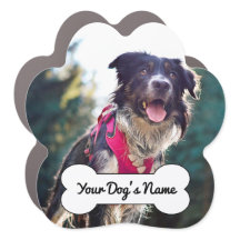 Cute Hund Photo Bone Namn