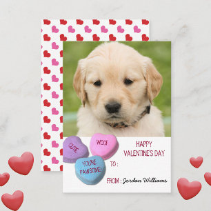 Cute Hund Photo Classroom Valentine Candy Hearts Anteckningskort