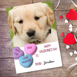 Cute Hund Photo Classroom Valentine Candy Hearts Helg Vykort