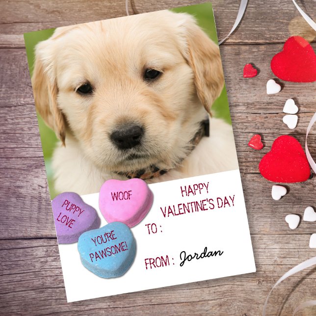 Cute Hund Photo Classroom Valentine Candy Hearts Helg Vykort (Skapare uppladdad)
