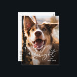 Cute Hund Photo Modern jul Helg Vykort<br><div class="desc">Modern vykort för fotojul med en enkel och minimal design med det söta "Håriget och Bright" i hälsning i ett elegant-skript över en bild av din hund. Baksidan har en andra bild tillsammans med ditt personlig-meddelande i svartvitt.</div>