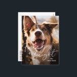 Cute Hund Photo Modern jul Helg Vykort<br><div class="desc">Modern vykort för fotojul med en enkel och minimal design med det söta "Håriget och Bright" i hälsning i ett elegant-skript över en bild av din hund. Baksidan har en andra bild tillsammans med ditt personlig-meddelande i svartvitt.</div>