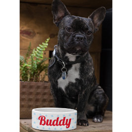 Cute Hund Puppy Cat Kattunge Pet Namn Blue Stars F