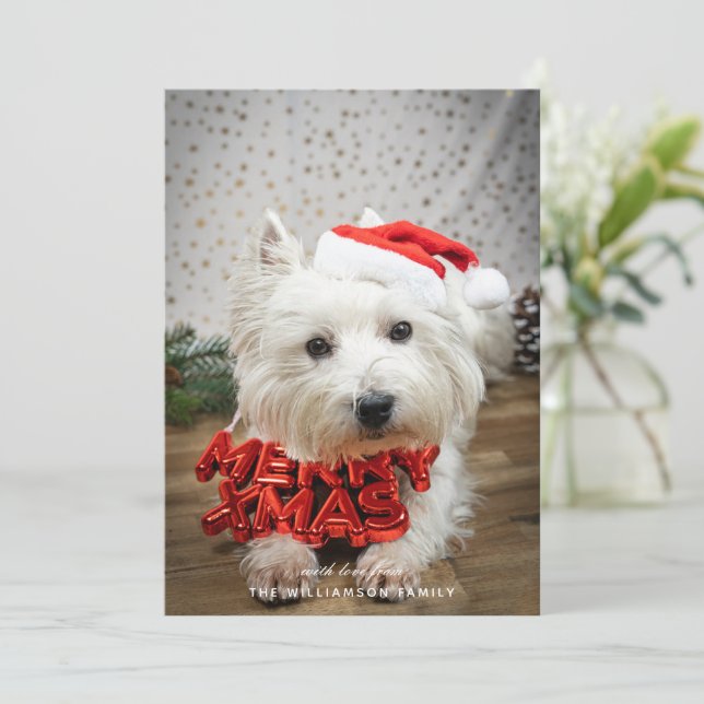 Cute Hund Puppy God jul Card Julkort (Stående Fram)