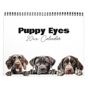 Cute Hund Puppy Ögon Calendar Kalender