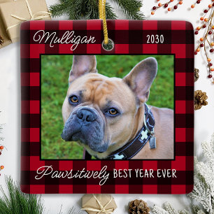 Cute Hund Red Play-Anpassningsbarna Pet Photo Julgransprydnad Keramik