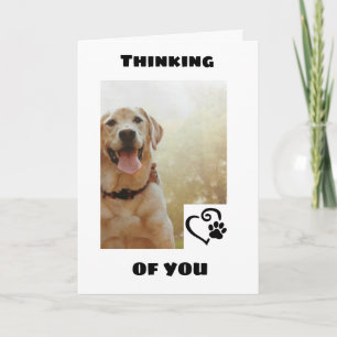 *CUTE HUND SÄGER ATT DET FINNS ETT LYCKLIG* BIRTHD KORT