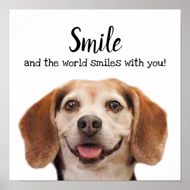 Cute Hund Smiling Photo Smile Quote Beagle Poster (Framsidan)