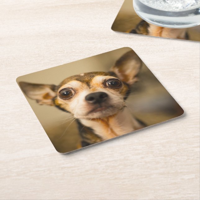 Cute Hund underlägg 10 Papper Kvadrat (Vinklad)