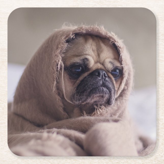 Cute Hund underlägg 8 Papper Kvadrat (Framsidan)