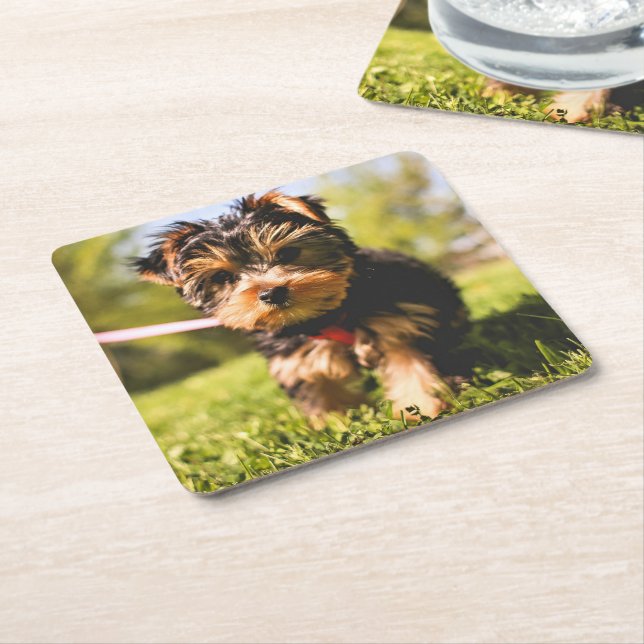 Cute Hund underlägg 9 (Vinklad)