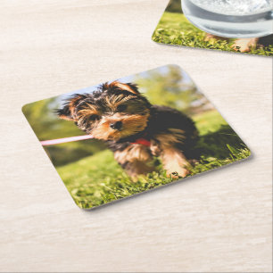 Cute Hund underlägg 9 Papper Kvadrat