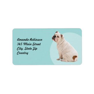 Cute hund white bulldog adressetikett