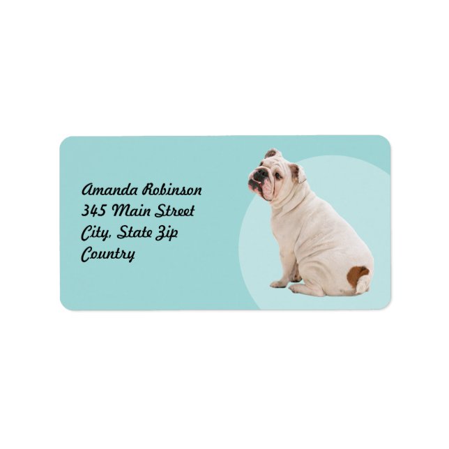 Cute hund white bulldog adressetikett (Framsidan)
