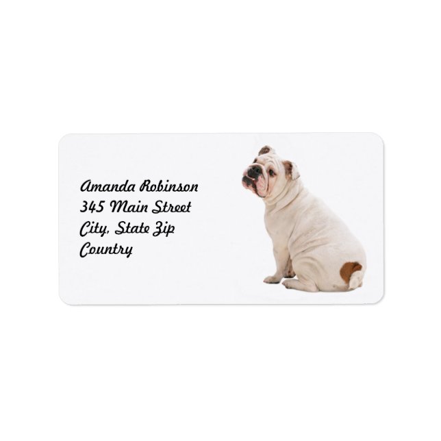Cute hund white bulldog adressetikett (Framsidan)