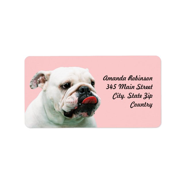 Cute hund white Bulldog Adressetikett (Framsidan)