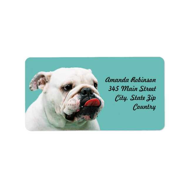 Cute hund white Bulldog Adressetikett (Framsidan)
