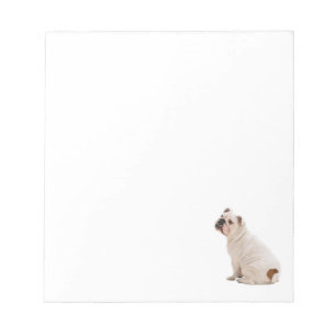 Cute hund white bulldog anteckningsblock
