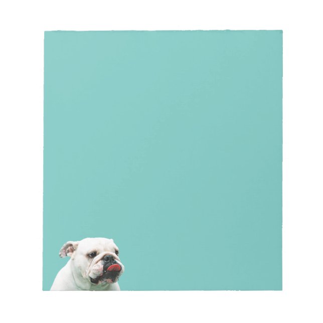 Cute hund white Bulldog Anteckningsblock (Framsida)