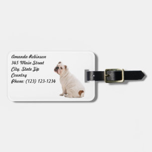 Cute hund white bulldog bagagebricka