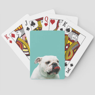 Cute hund white Bulldog Casinokort