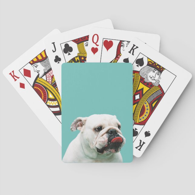 Cute hund white Bulldog Casinokort (Baksidan)