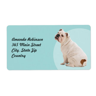Cute hund white bulldog fraktsedel