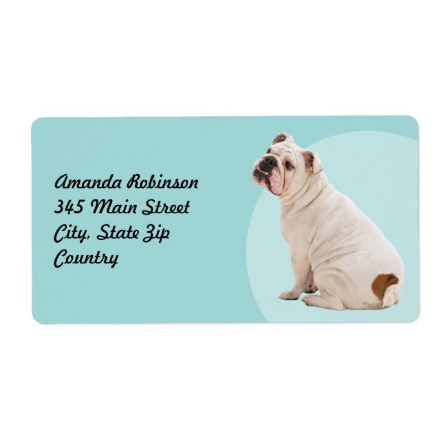 Cute hund white bulldog fraktsedel (Framsidan)
