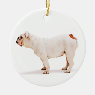 Cute hund white Bulldog Julgransprydnad Keramik