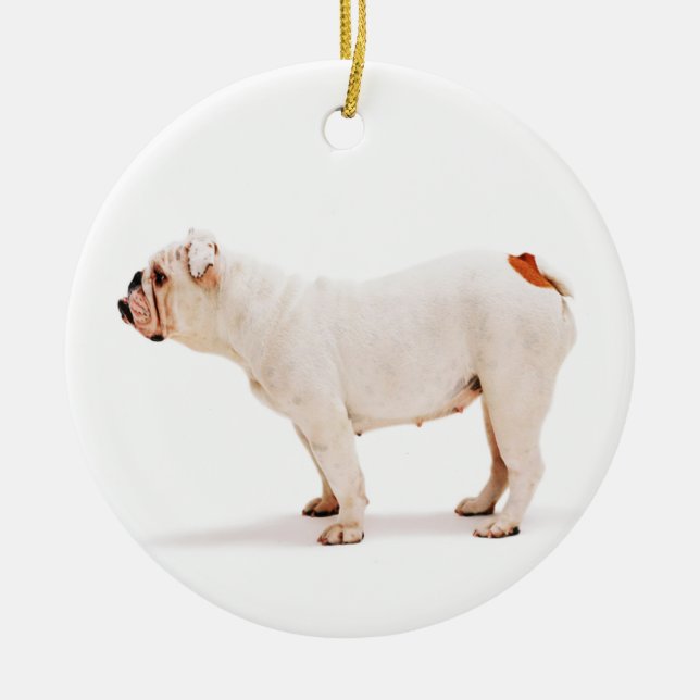 Cute hund white Bulldog Julgransprydnad Keramik (Framsidan)