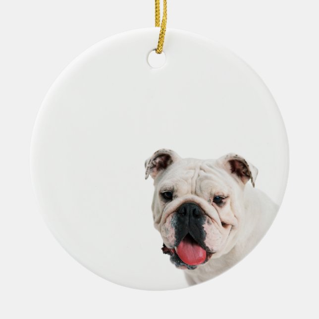 Cute hund white Bulldog Julgransprydnad Keramik (Framsidan)